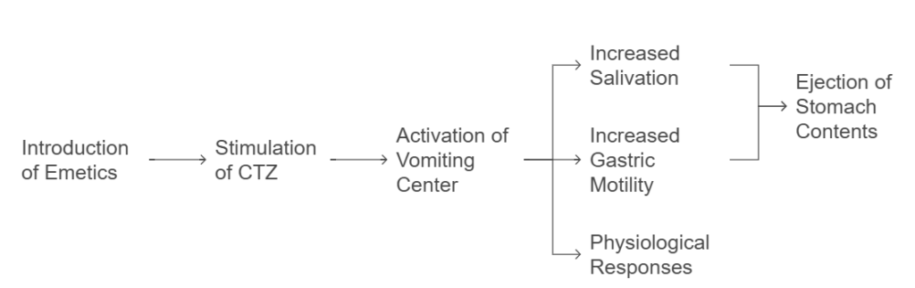 Diagram of how emetics work in the body