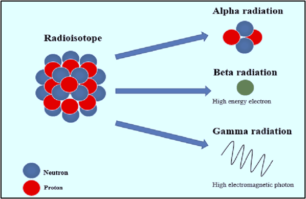 Types of radiation emitted by radioisotopes (Alpha, Beta, Gamma) and their properties.